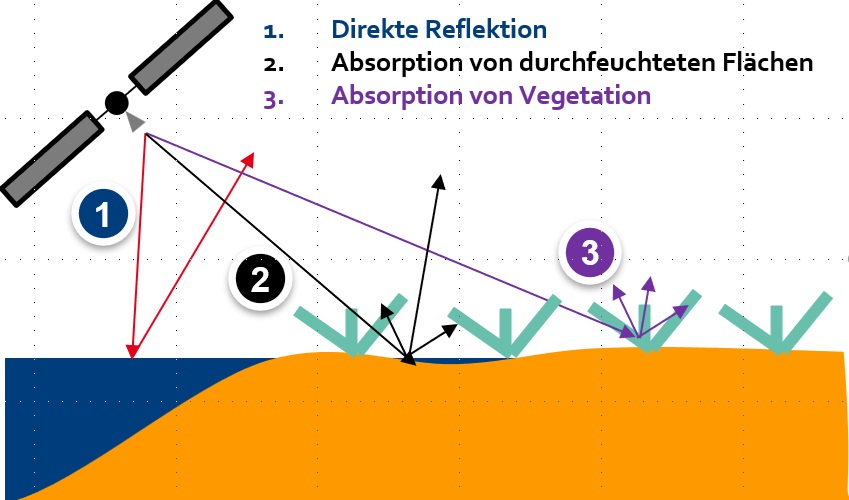 Grafik, die zeigt, wie Radarstrahlen von einem Satelliten auf den Boden treffen. Die Radarstrahlen sind als Pfeile visualisiert. Auf Wasserflächen prallt dieser direkt ab - die Strahlen werden reflektiert. Bei durchfeuchteten Flächen werden mehr Strahlen absorbiert, als reflektiert. Bei Vegetation werden fast alle Strahlen absorbiert.