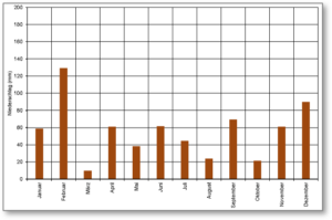 Ein Diaggramm: die x-Achse zeigt den Niederschlag in Epe in mm. Auf der y-Achse sind die Monate des Jahres 2022 zu sehen. Die Balken der meisten Monate zeigen Niederschläge von etwa 10 bis 60 mm, mit etwas regnerischeren Monaten Februar und Dezember mit jeweils 130 und 90 mm. 